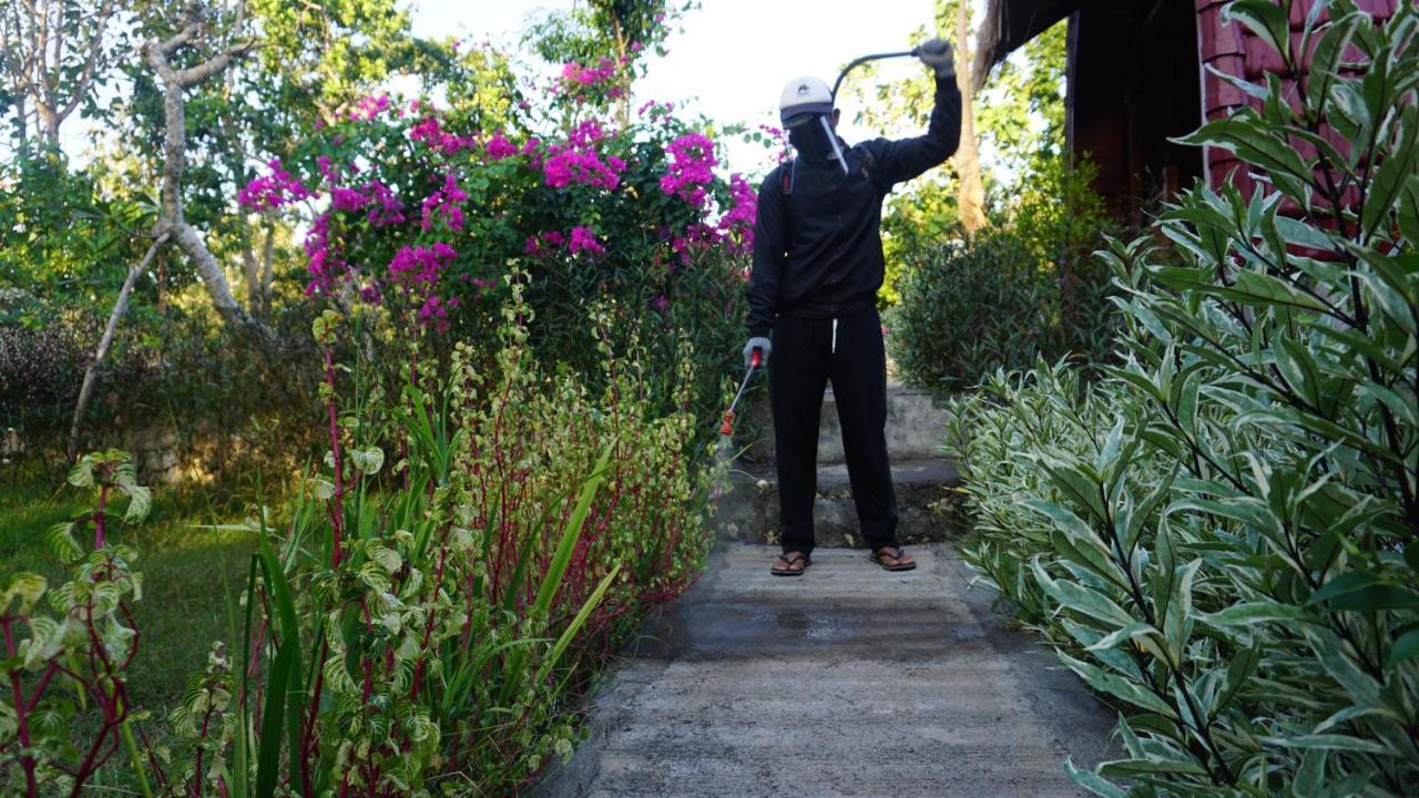 Bougainvillea Bungalow Batumadeg Zewnętrze zdjęcie